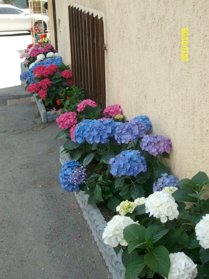 Albergo Genzianella Fiavè Esterno foto